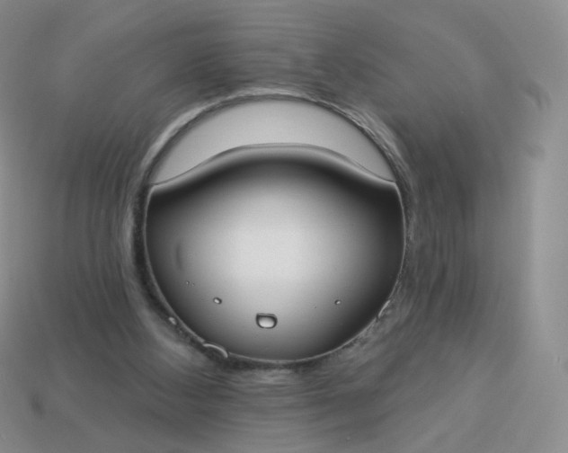 X0000114020108200910161806