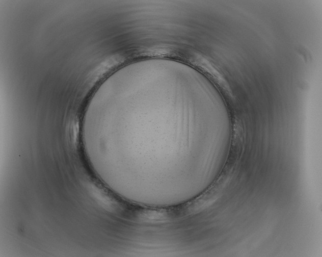 X0000114020110200910161806