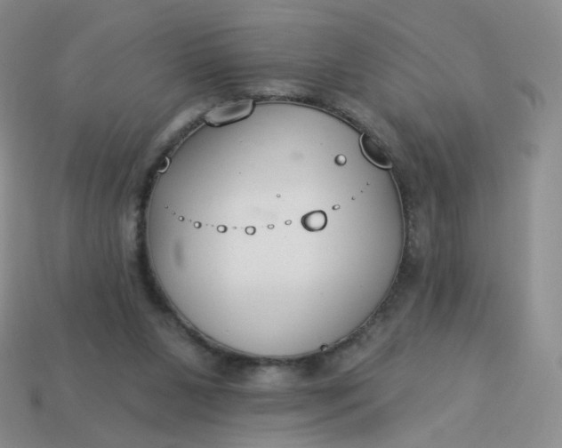 X0000114020111200910161806