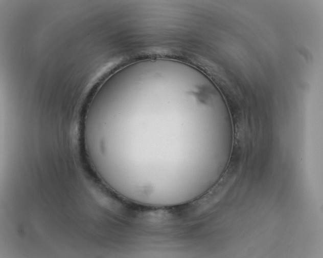 X0000114020112200910161806