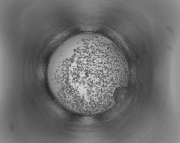 X0000114020114200910161806