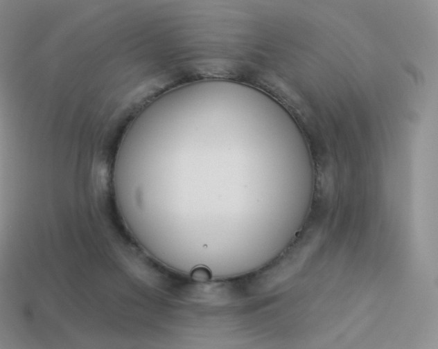 X0000114020117200910161806