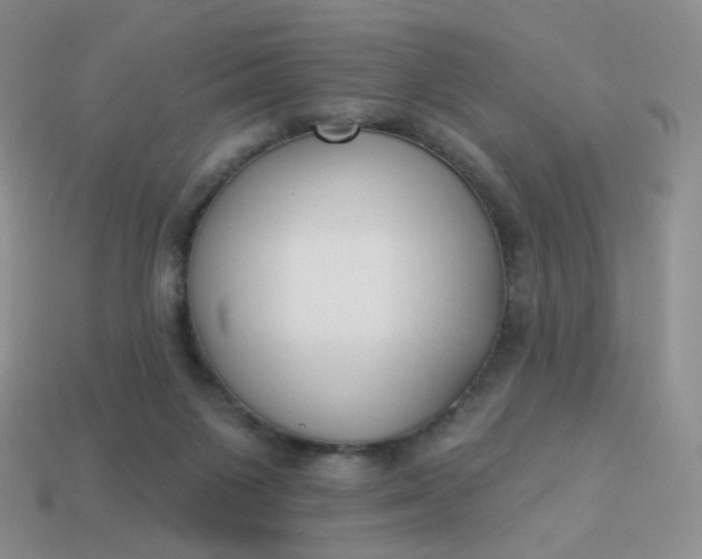 X0000114020119200910161806