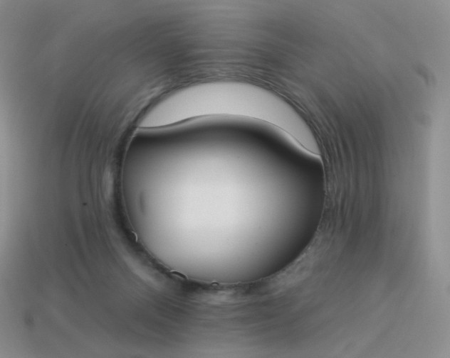 X0000114020120200910161806