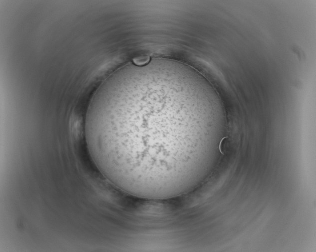 X0000114020123200910161806