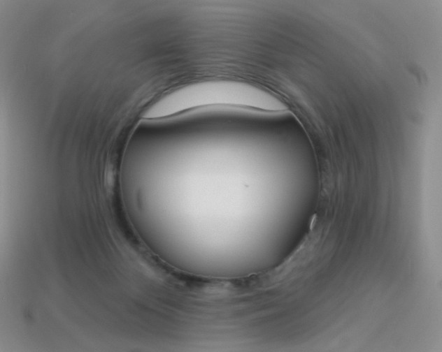 X0000114020124200910161806