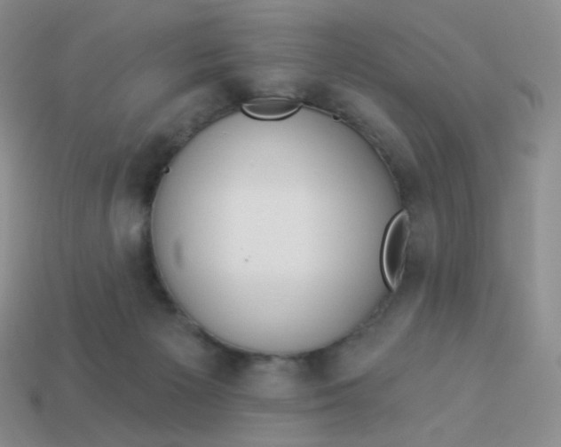 X0000114020125200910161806