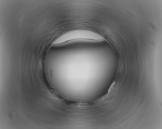 X0000114020128200910161805