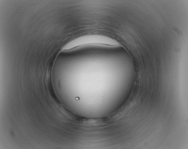 X0000114020129200910161805