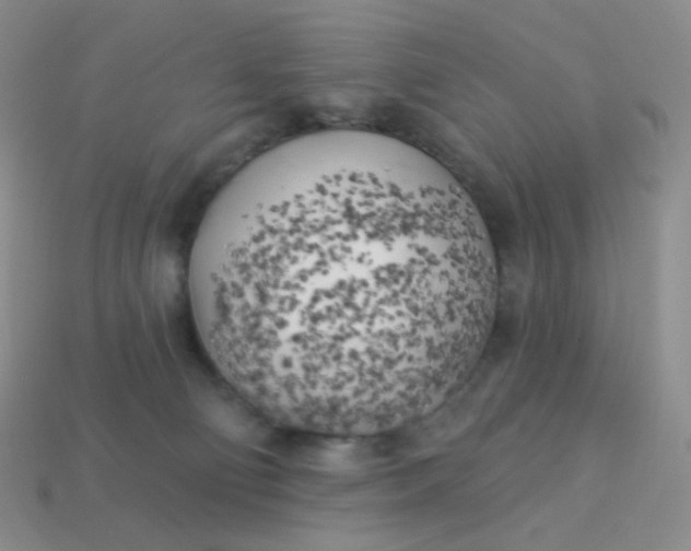 X0000114020130200910161805