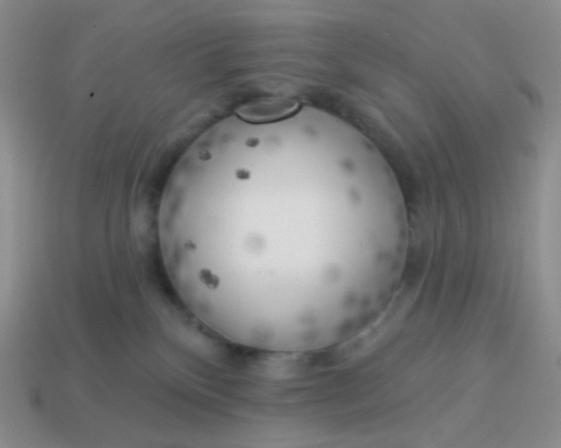 X0000114020136200910161805