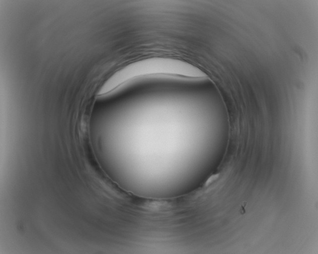 X0000114020137200910161805