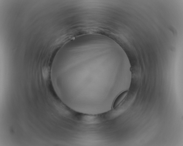 X0000114020139200910161805