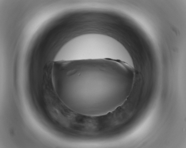 X0000114020143200910161805