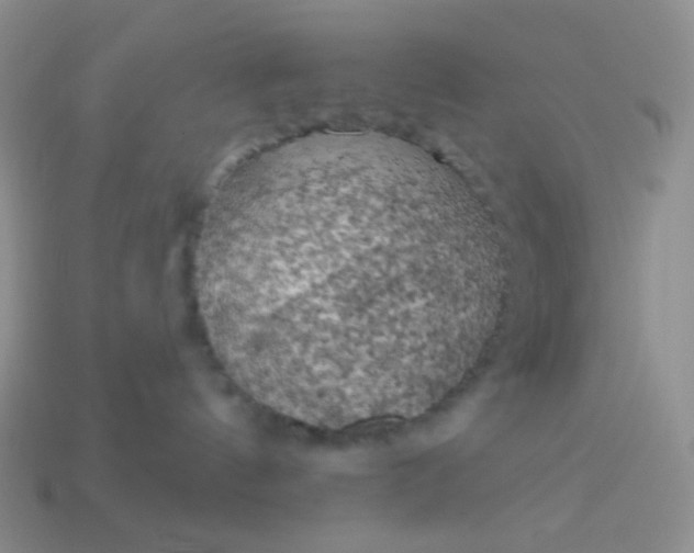 X0000114020144200910161805