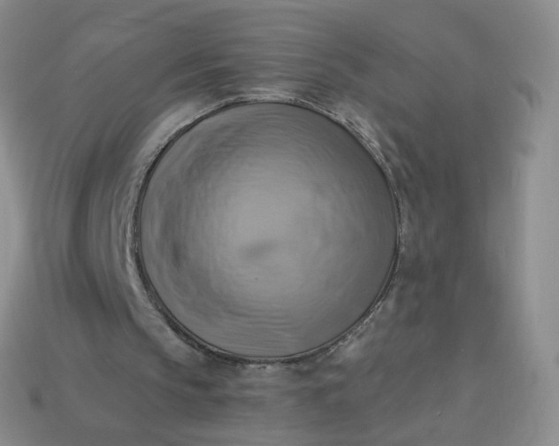 X0000114020145200910161805