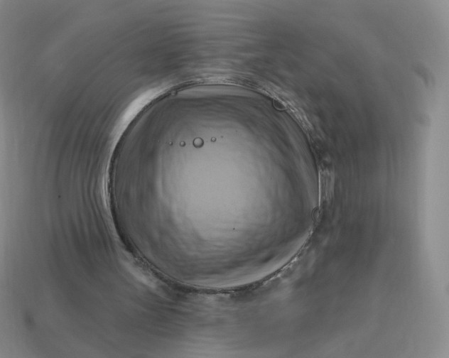 X0000114020147200910161805