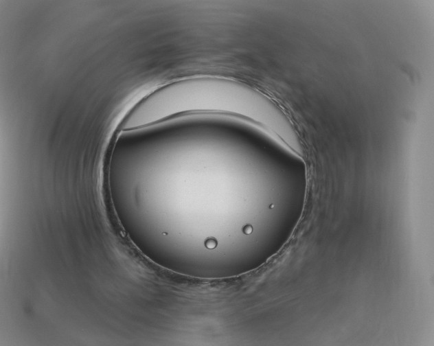 X0000114020148200910161805