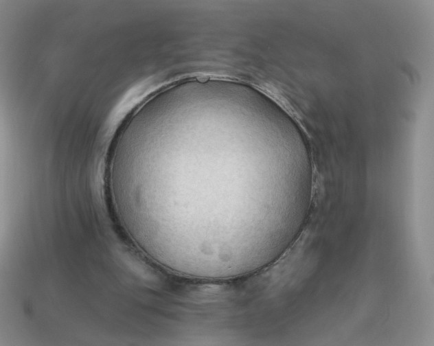 X0000114020151200910161805