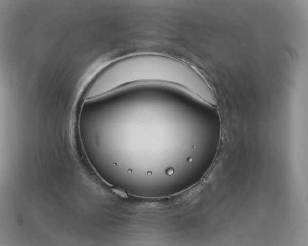 X0000114020152200910161805