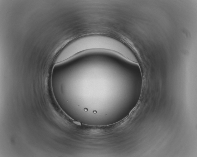 X0000114020154200910161805