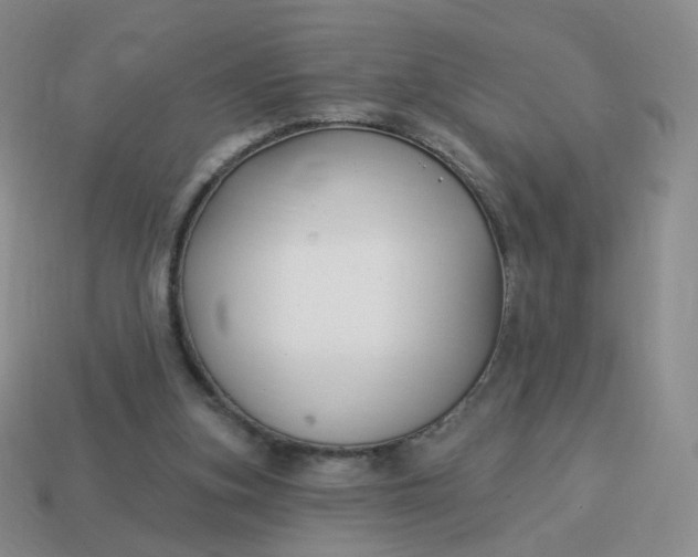 X0000114020155200910161805