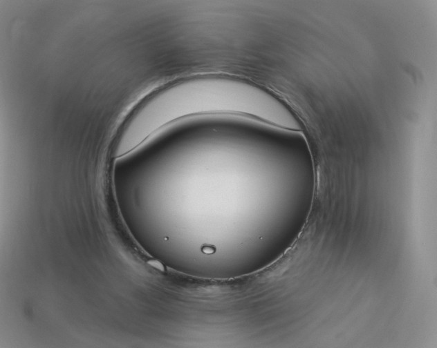 X0000114020156200910161805