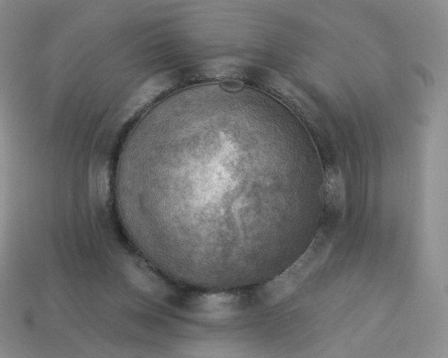 X0000114020158200910161805