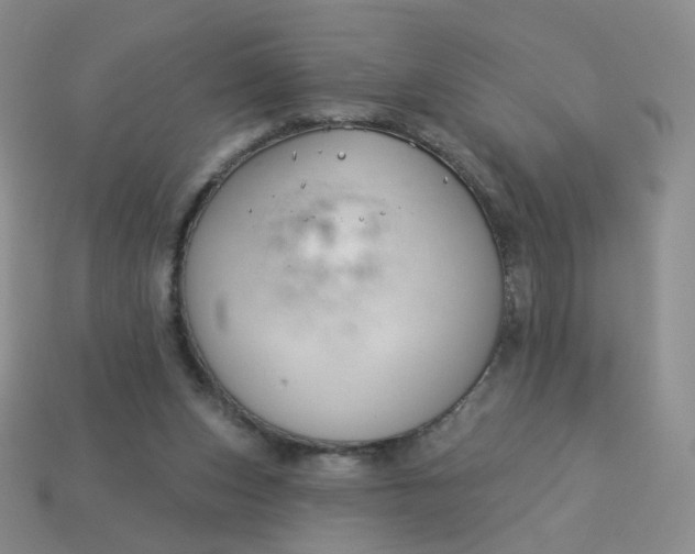 X0000114020159200910161805