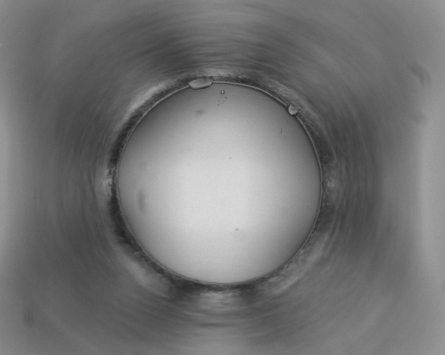 X0000114020160200910161805