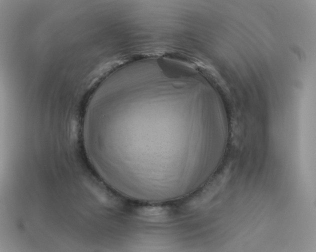 X0000114020161200910161805