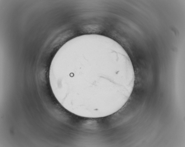 X0000114020162200910161805