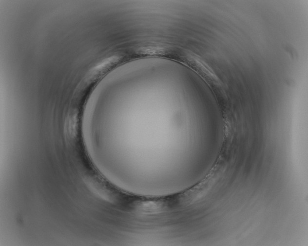 X0000114020163200910161805