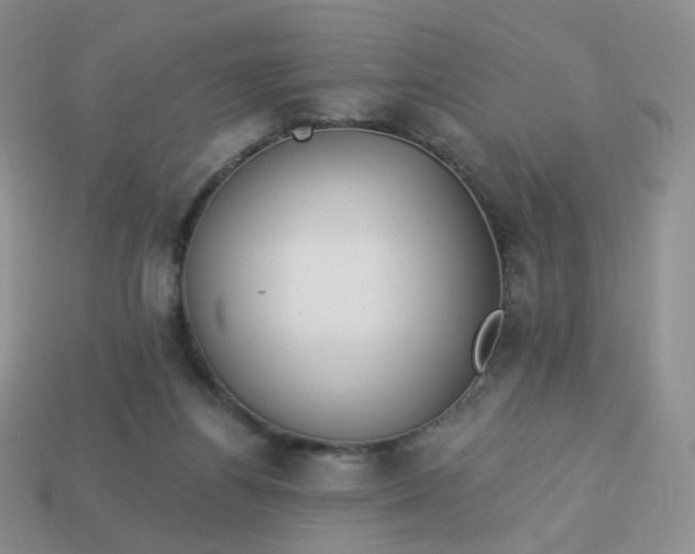 X0000114020164200910161805