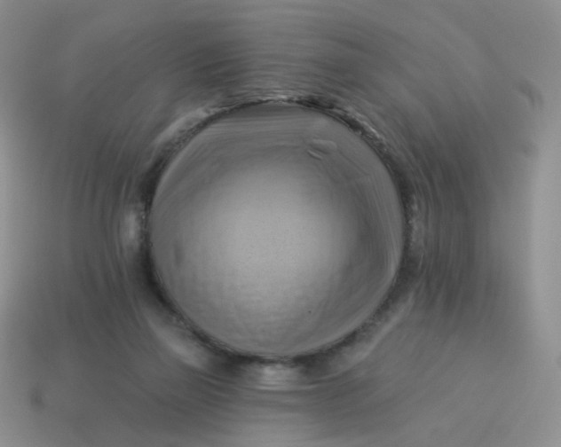 X0000114020165200910161805