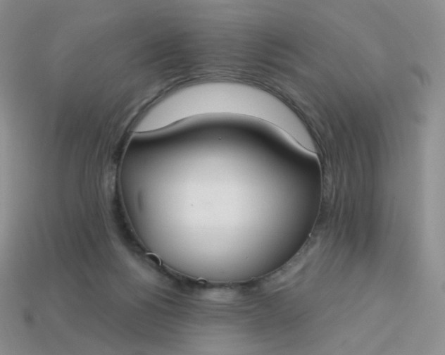 X0000114020168200910161805