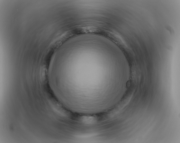 X0000114020169200910161805