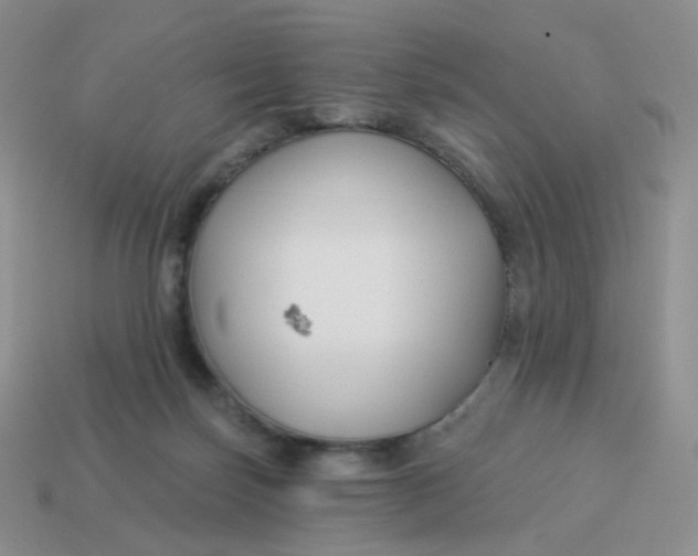 X0000114020171200910161805