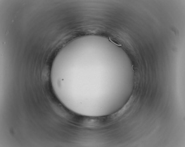 X0000114020174200910161805