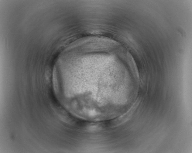 X0000114020175200910161805