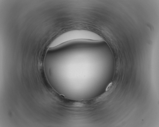 X0000114020176200910161805