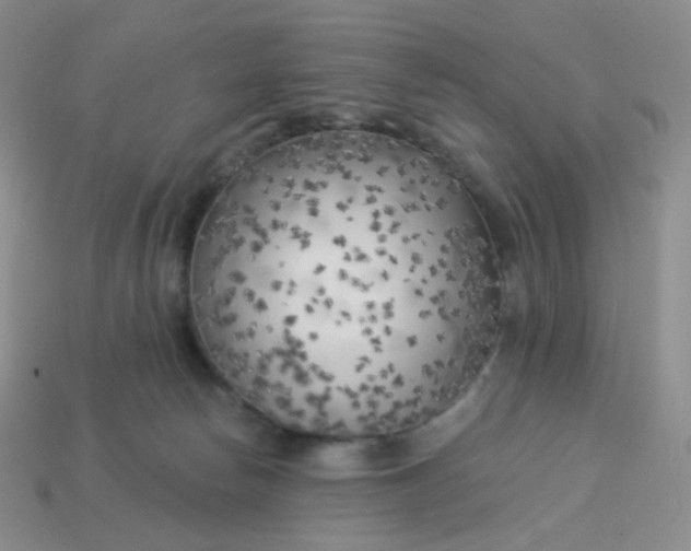 X0000114020178200910161805