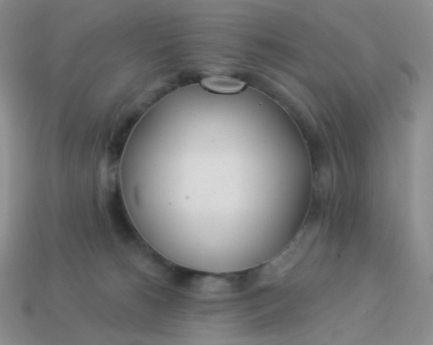 X0000114020180200910161805