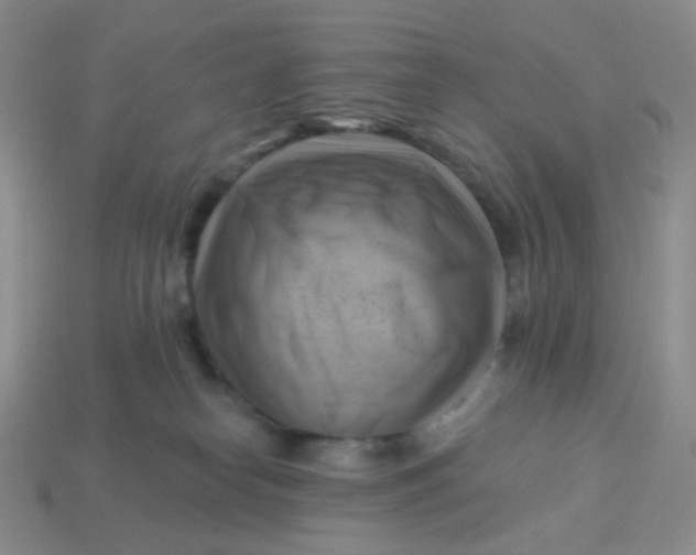 X0000114020182200910161805