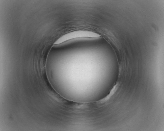 X0000114020186200910161805