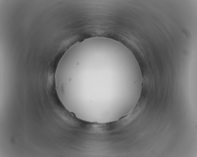 X0000114020188200910161805