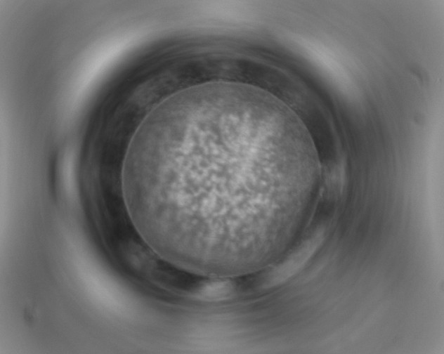 X0000114020189200910161805