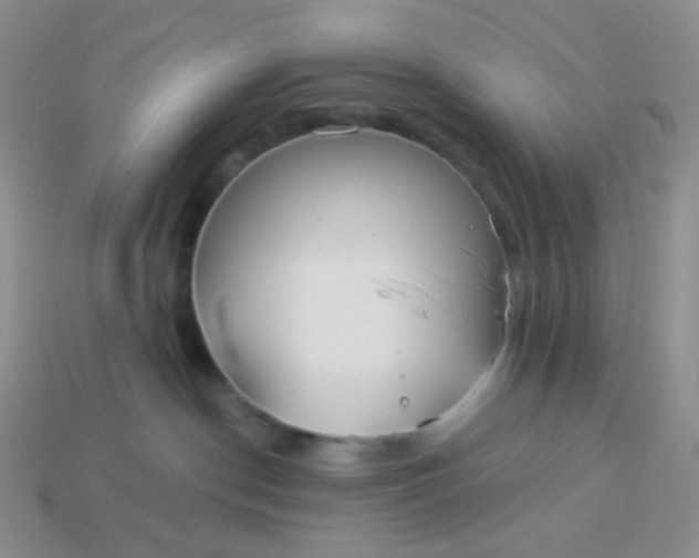 X0000114020190200910161805