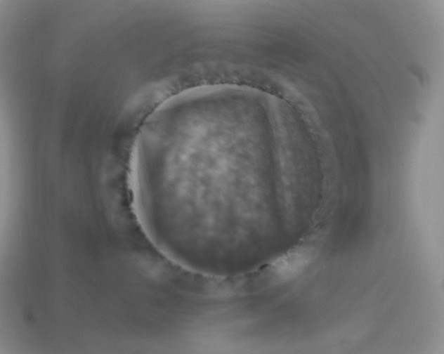 X0000114020192200910161805