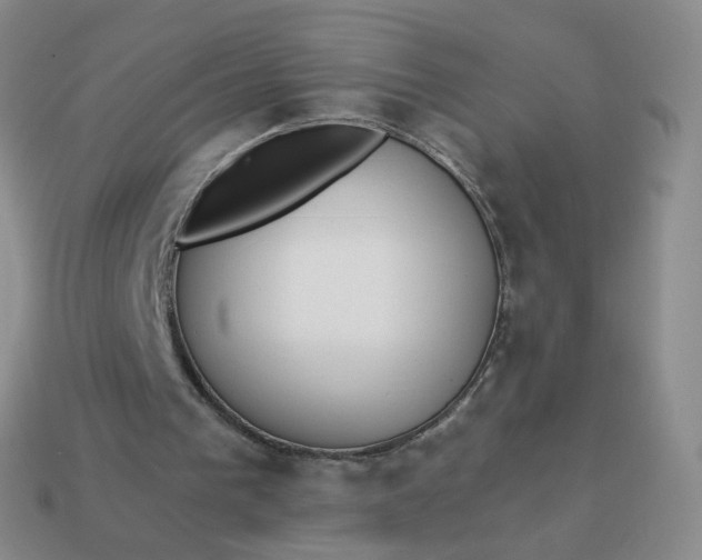 X0000114020193200910161805